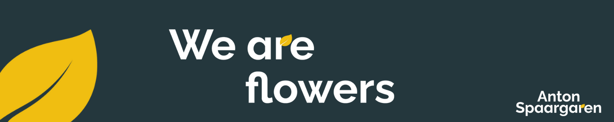 Anton Spaargaren Banner on Thursd 2022-02 Anton Spaargaren Banner on Thursd 2022-02