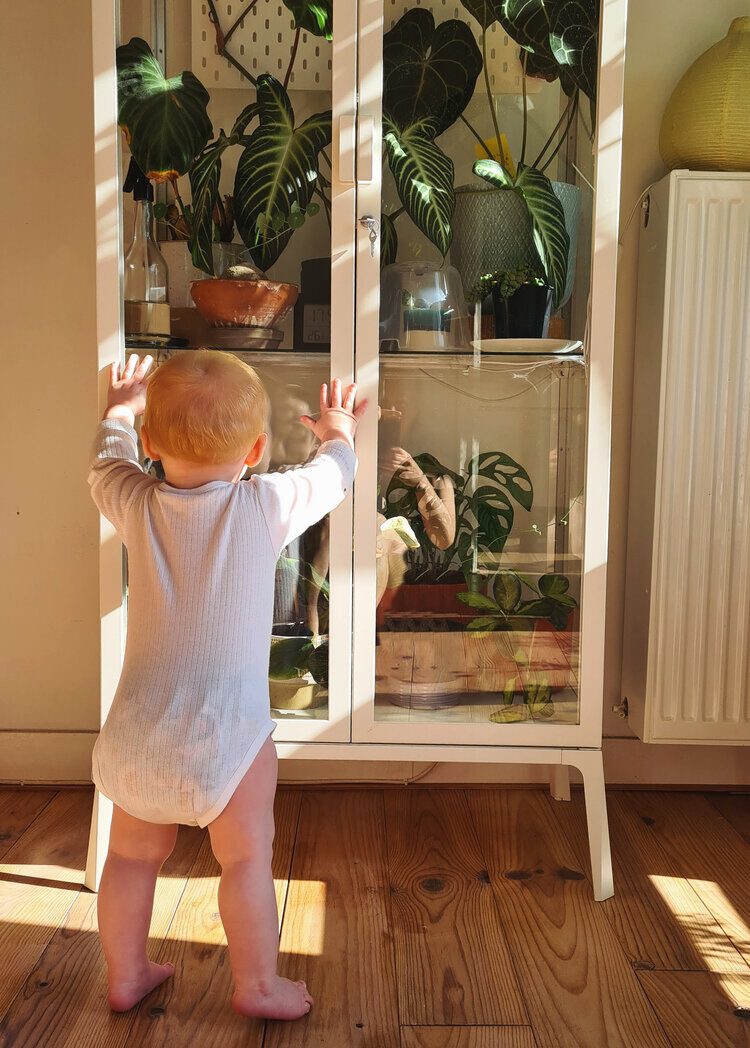 9 Tips for a Baby in a House Full of Houseplants - mama botanica - baby and plants - blog on thursd