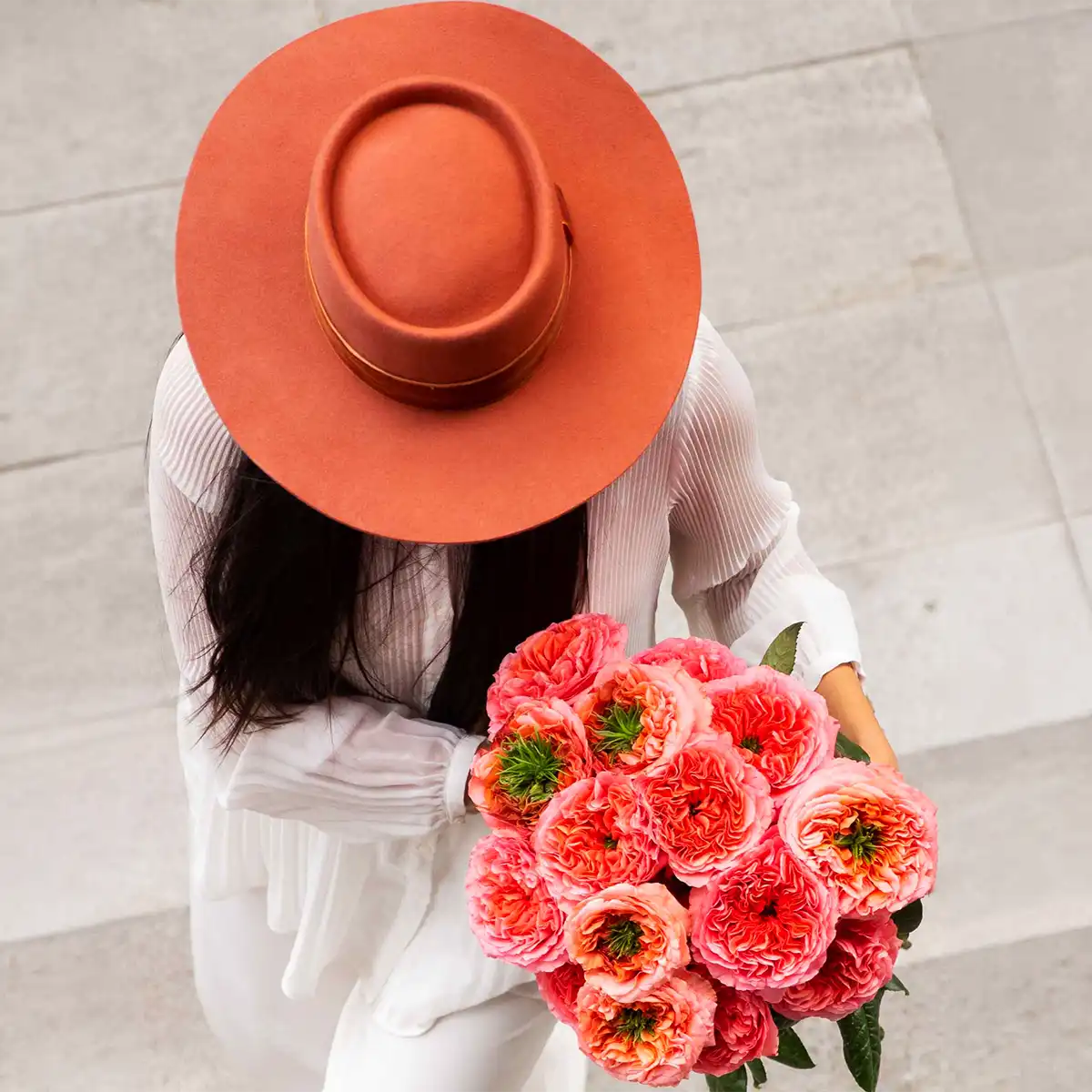 Global Rise of X-Pression Roses dynamic feature Global Rise of X-Pression Roses dynamic feature