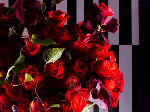 The Fiorella Rose is a Passionate Power of Nature