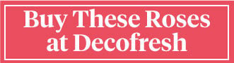 Buy these roses at Deofresh Button on Thursd