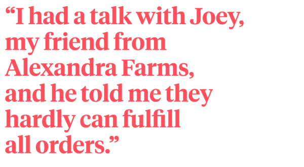 Holly Chapple quote on Thursd - "I had a talk with Joey, my friend from Alexandra Farms, and he told me they hardly can fulfill all orders."