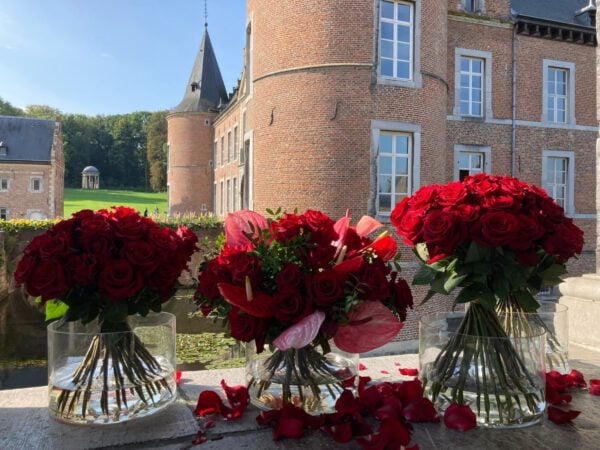 Perfect Petals of Ever Red Roses - Blog on Thursd (5)