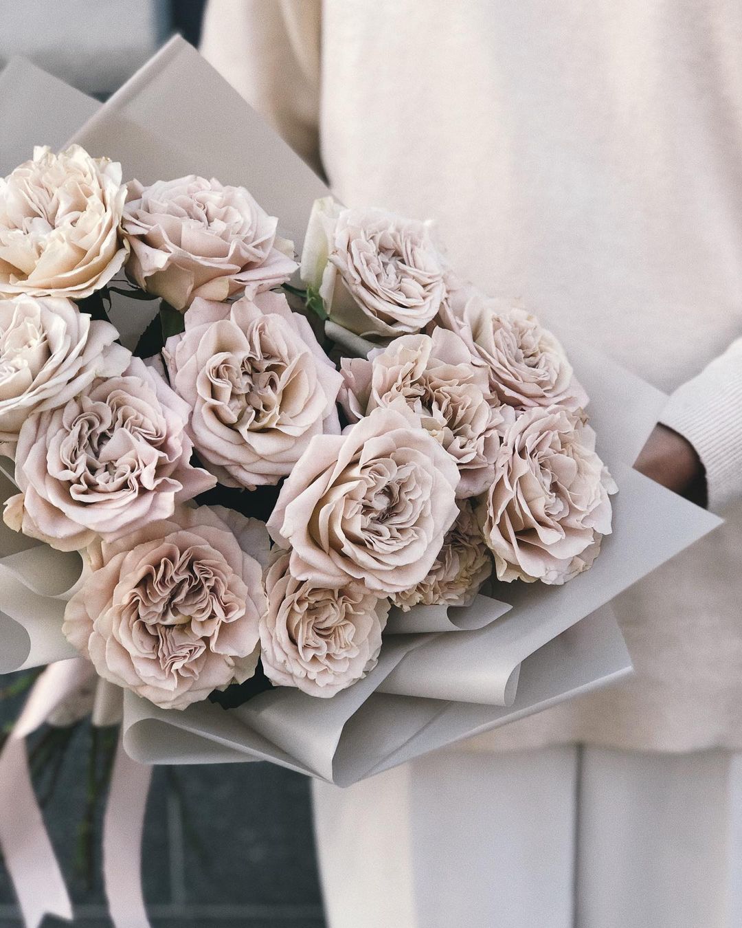 The Spectecular Westminster Abbey Rose002