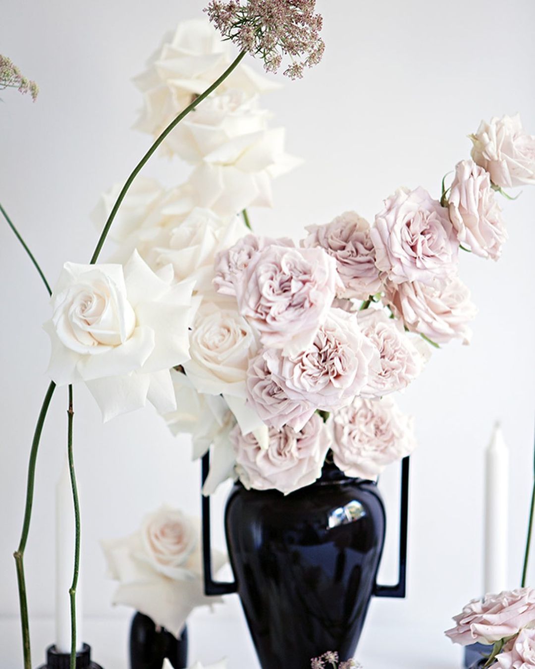 The Spectecular Westminster Abbey Rose006