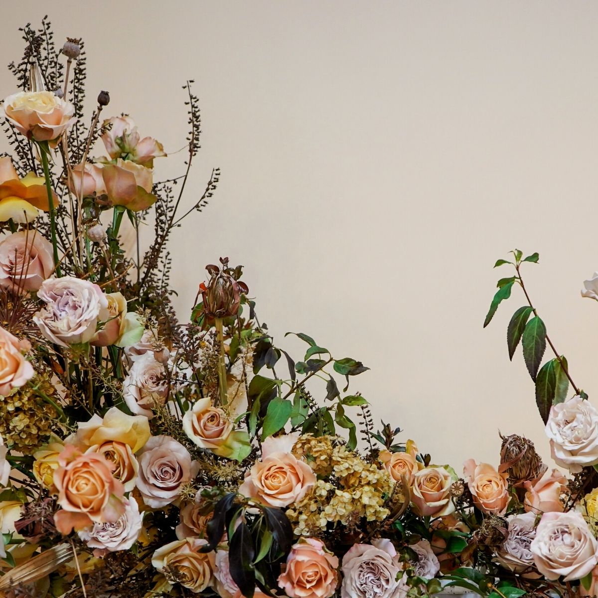 Holly Heider Chapple - Scorched Earth - Blog on Thursd