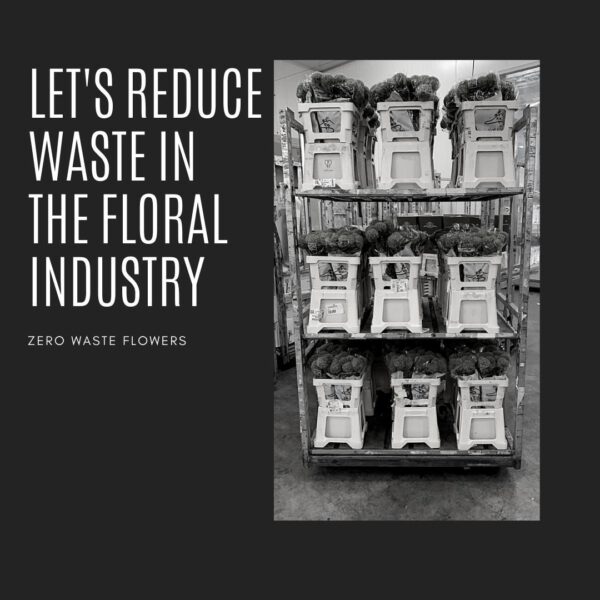 Zero Waste Dried Flowers - Reducing waste in the floral industry