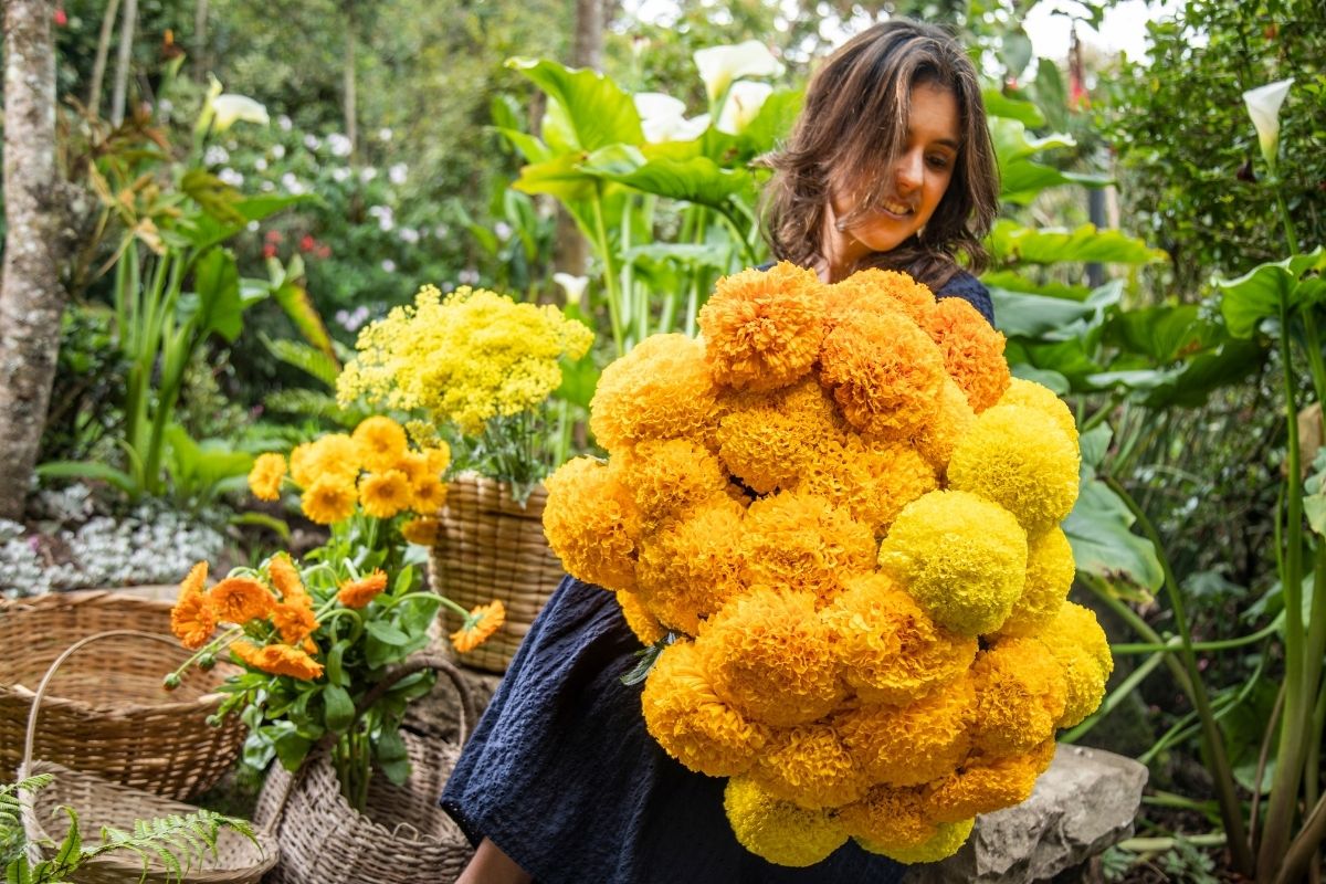 Marigold Xochi Marigold Xochi