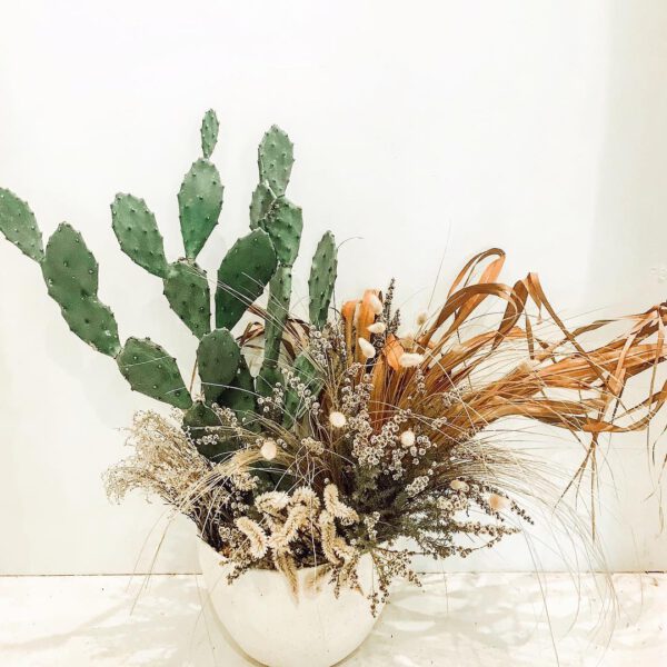 Plant Design Favorites on Instagram