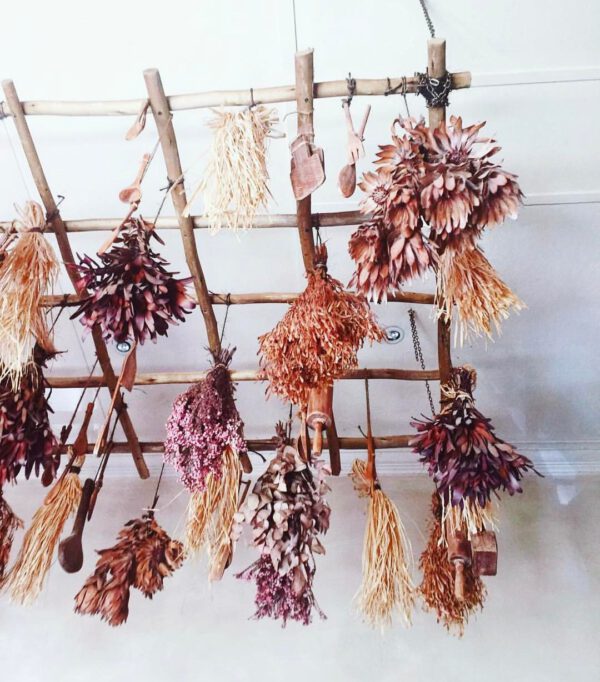 coven_and_co_What is The Actual Vase Life of Dried Flowers_dried hanging flowers tess guinery on thursd