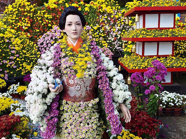 The History of the Chrysanthemum festival Japan