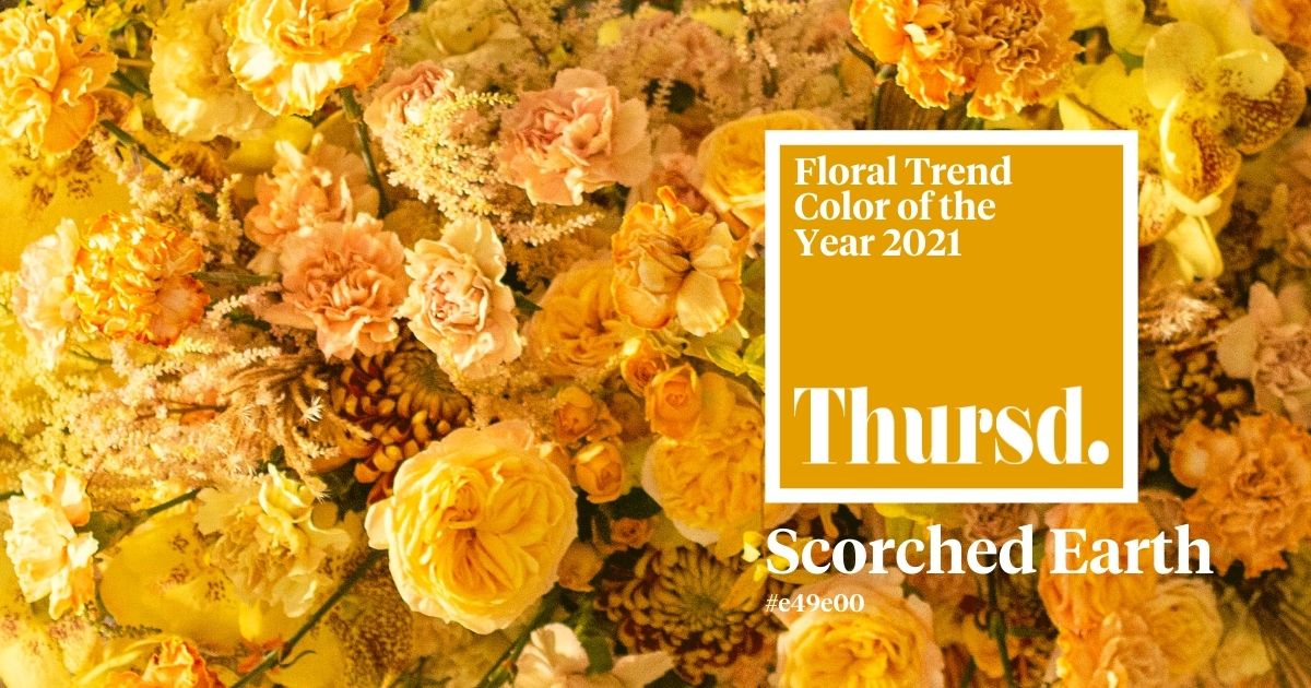 Scorched Earth - Floral Trend color of the Year 2021-  Header Bolte
