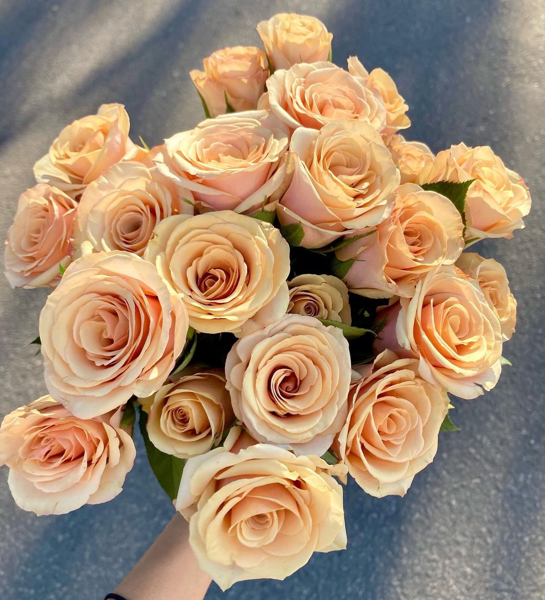 Beautiful Roses That Fit Into Your Scorched Earth Color Palette Camel Roses