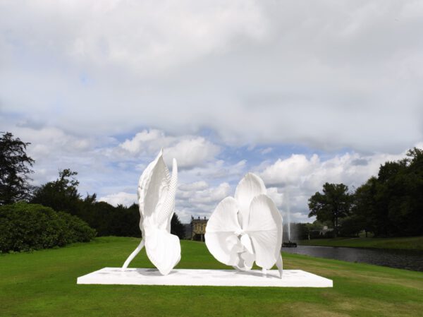 Frozen Flower Sculptures by Marc Quinn - Phalaenopsis and Anthurium Standoff - on thursd