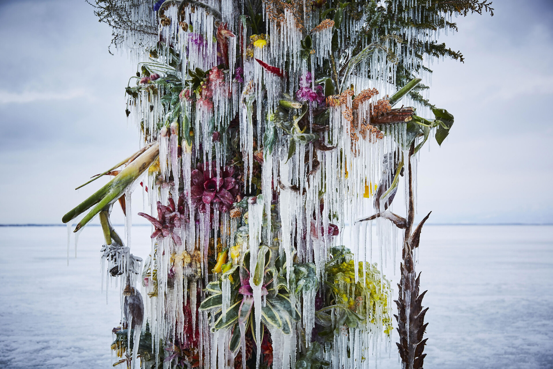 The ever-changing beauty of nature showcased by Azuma Makoto