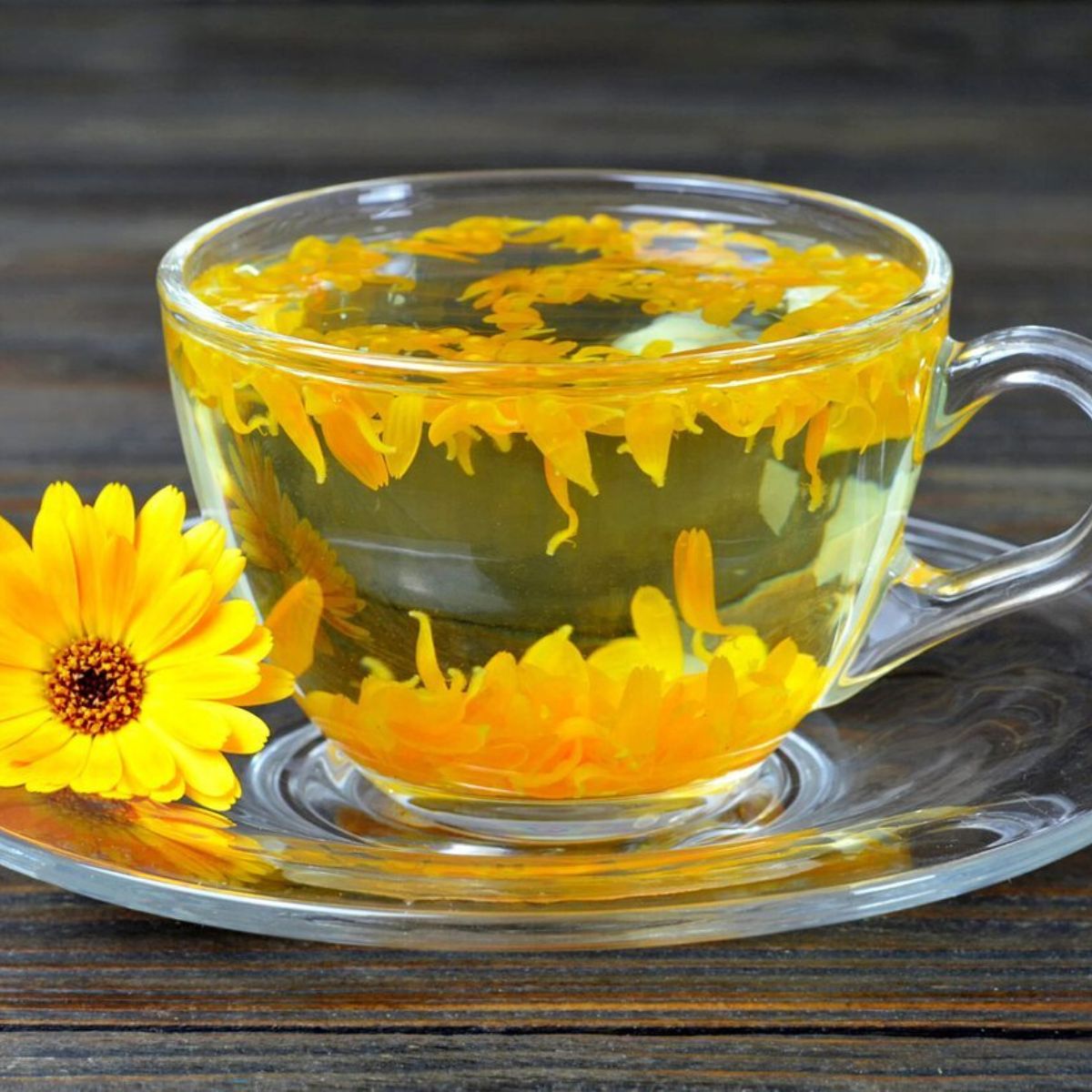 Calendula is a great medicinal plant that detoxifies the body on Thursd
