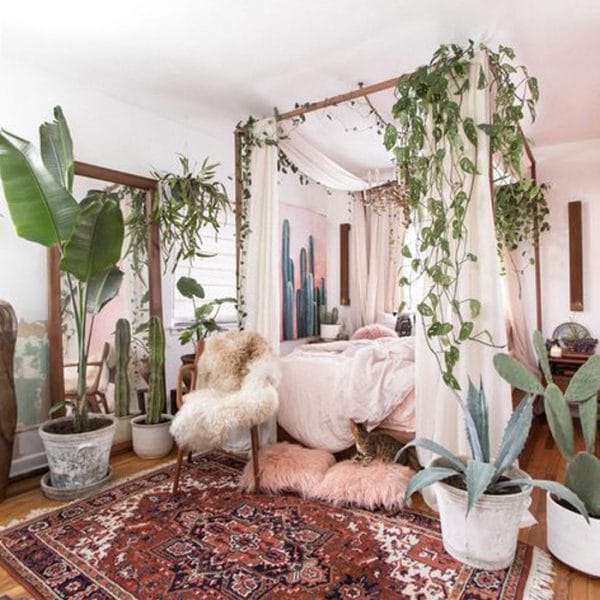 Indoor Plants Bedroom Article On Thursd