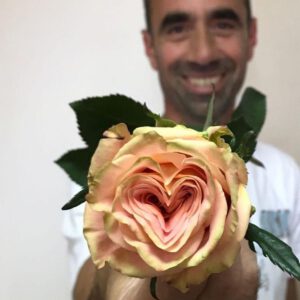 Pini Cohen Rose Heart - Record Prices for Flowers - on Thursd. 
