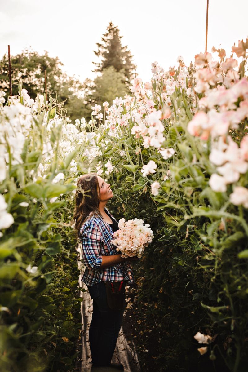 flower garden instagram accounts - The farmhouse flower farm