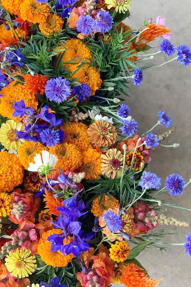 Jayflora colorful flower designs- flower garden Instagram accounts