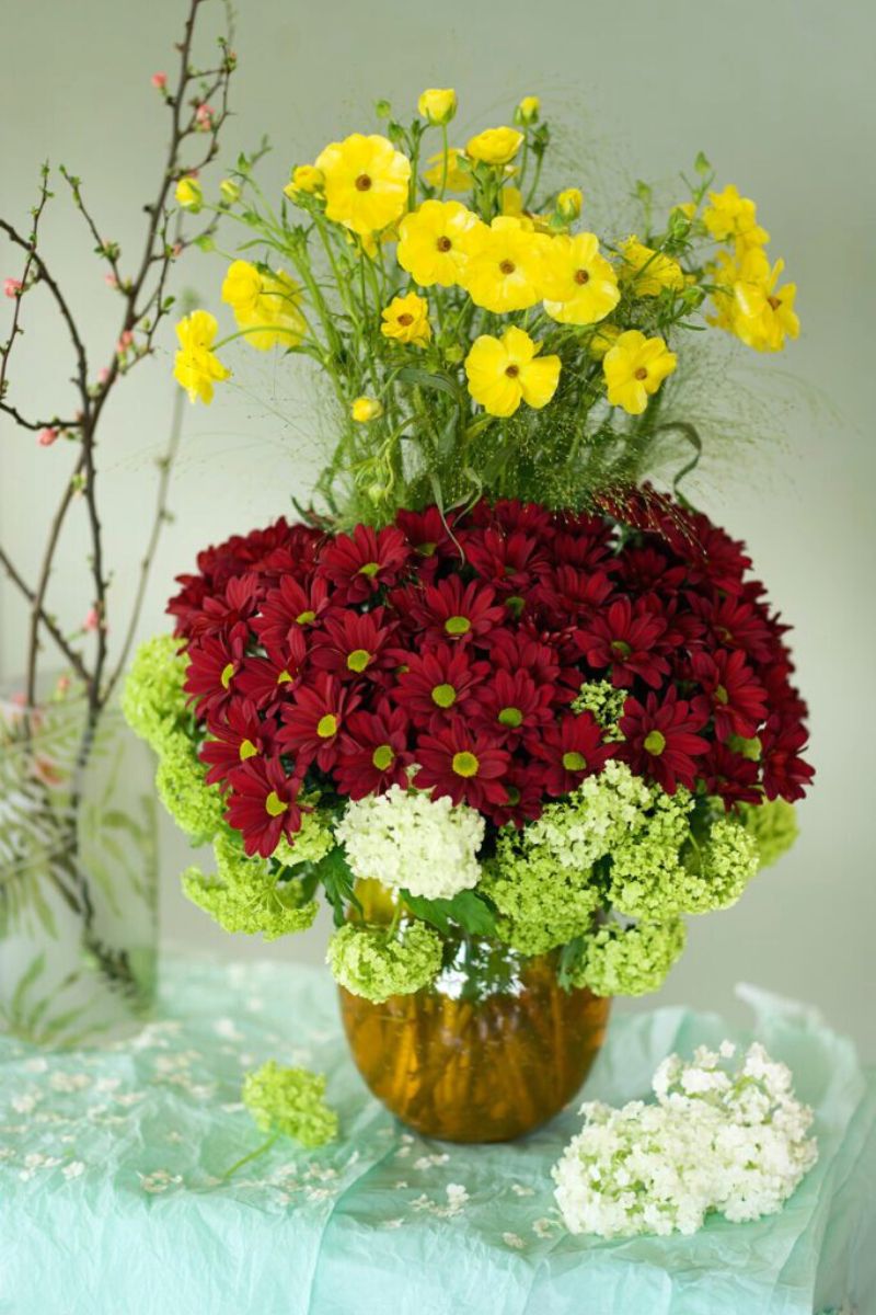Chrysanthemum barolo bouquet for vday