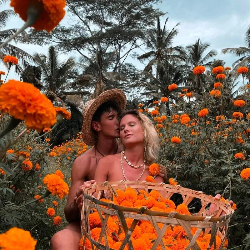 Marigold fields in Bali Marigold fields in Bali