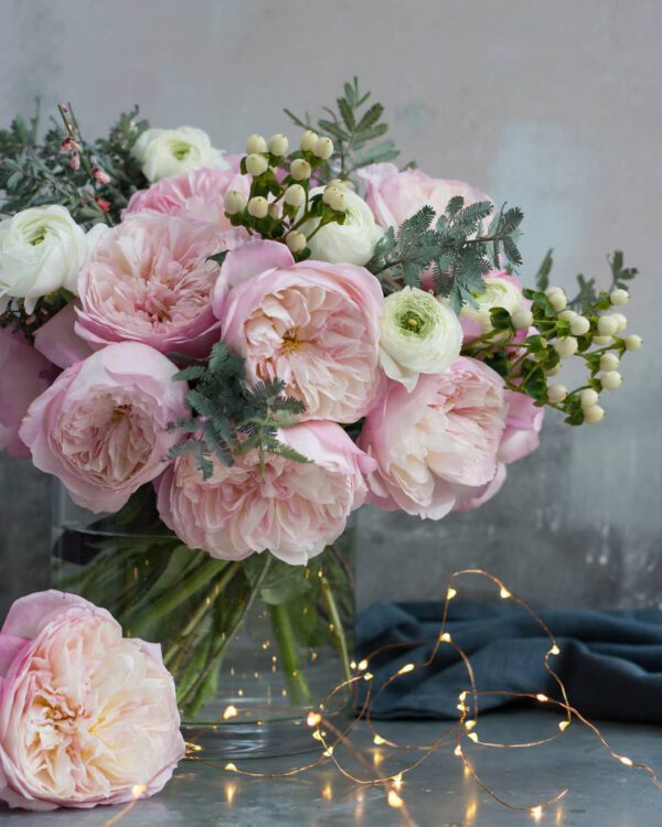 The 10 Best Scented Roses For 2021 David Austin Constance Rose