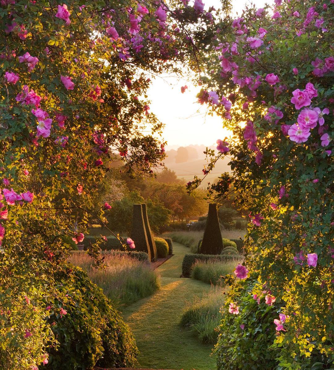 Clive Nichols Captures Marvelous Gardens You'll Want to Get Lost in Pettifers