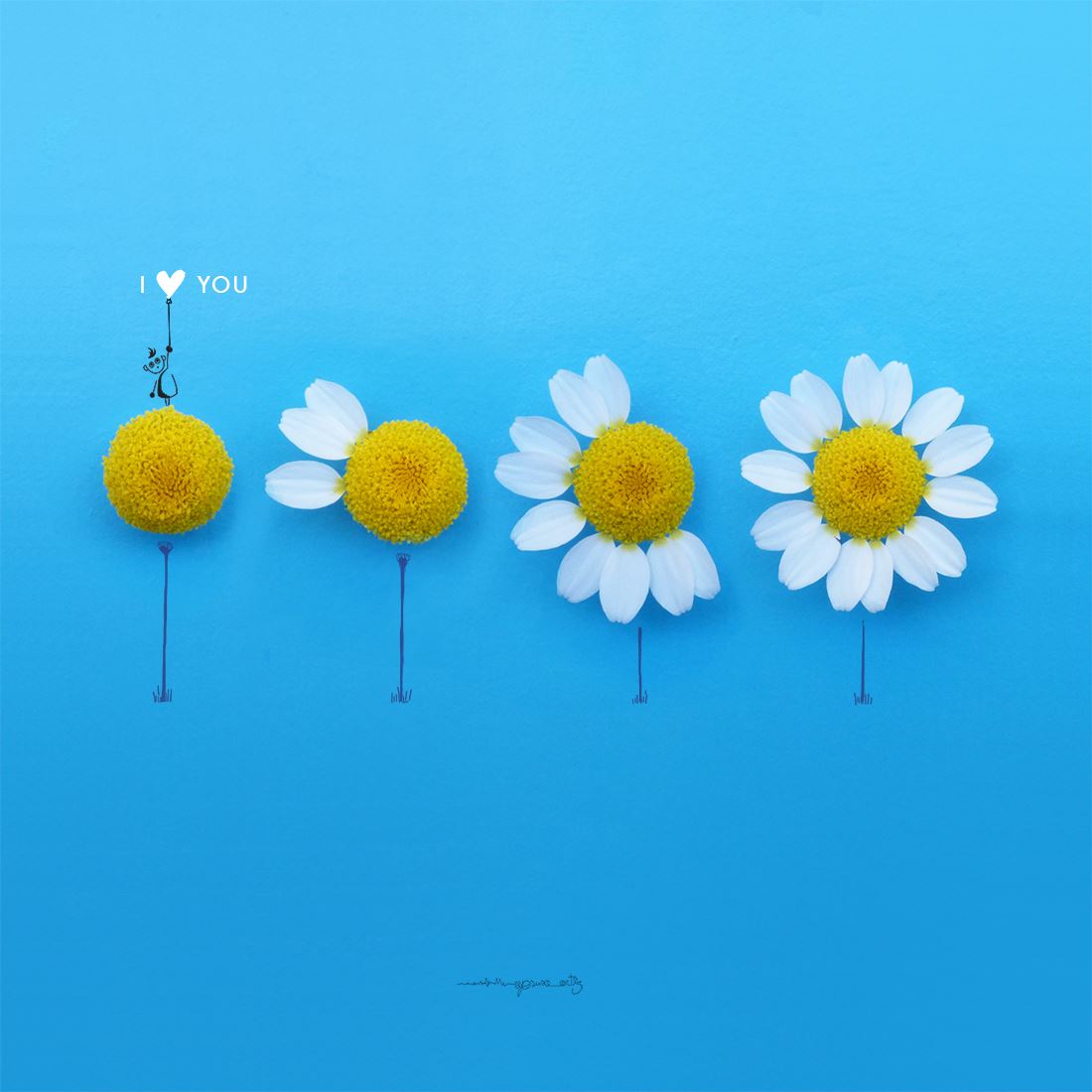Jesuso Ortiz Turns Flowers and Everyday Objects Into Art Flower Illustration Daisies