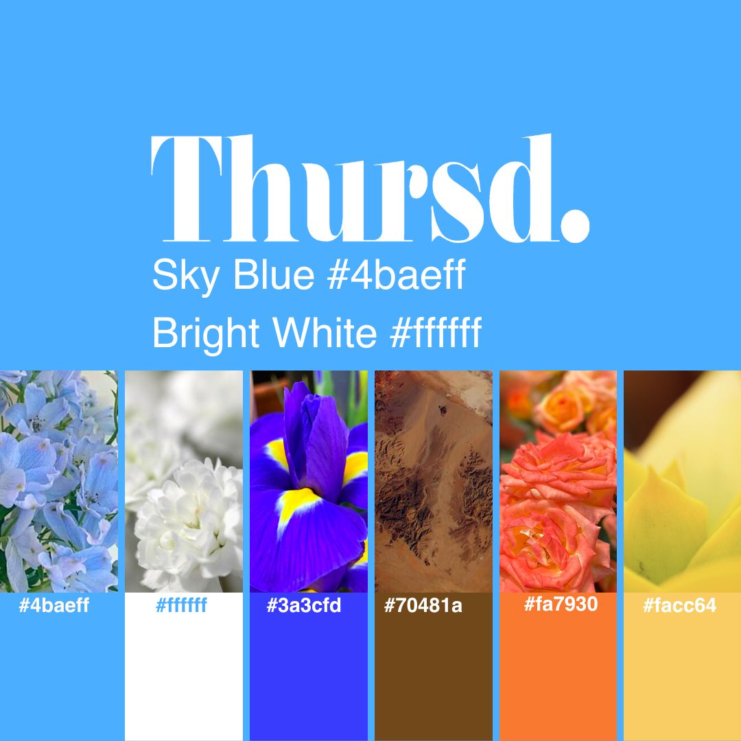 Thursd Floral Trend Color 2024 Sky's Palette Thursd Floral Trend Color 2024 Sky's Palette