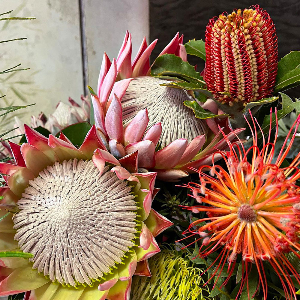 Bouquet with King Protea and Banksia Coccinea