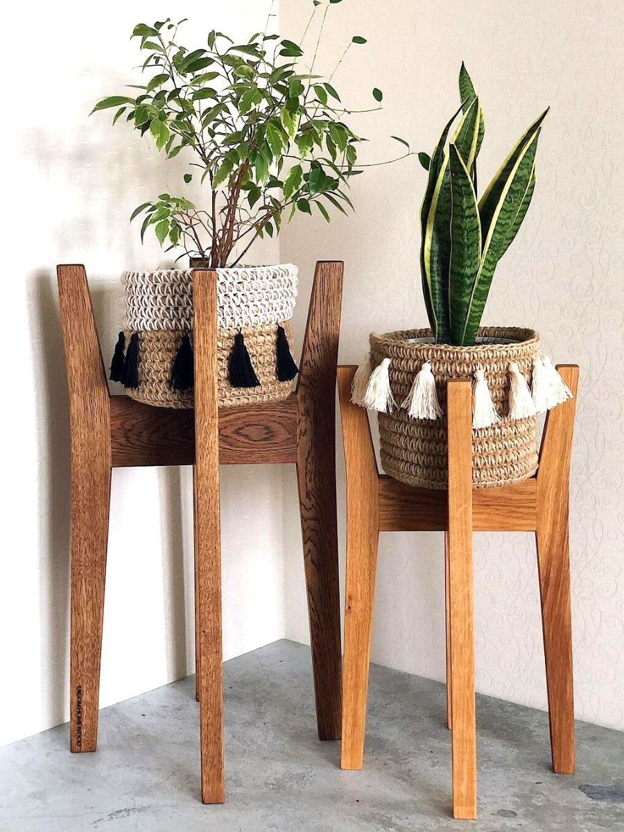 Snake plant is one of the best plants for a scandi interior Snake plant is one of the best plants for a scandi interior