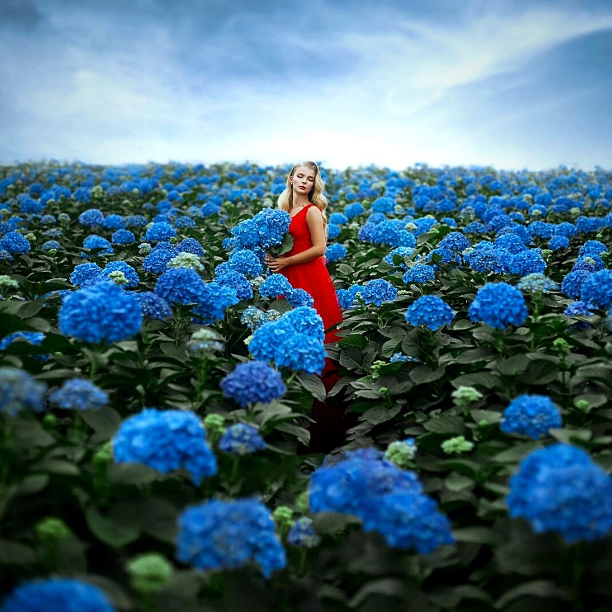 Art Photo Projects - Photoshoots That Give an Everlasting Life to Flowers
