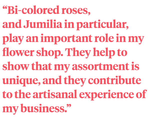 Bi-colored roses quote Bi-colored roses quote