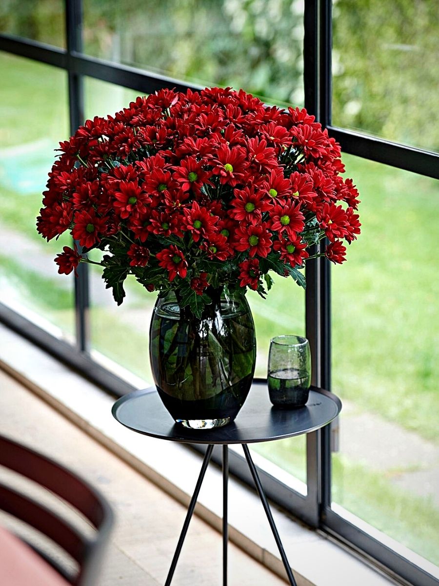 deep red chrysanthemums from Royal Van zanten