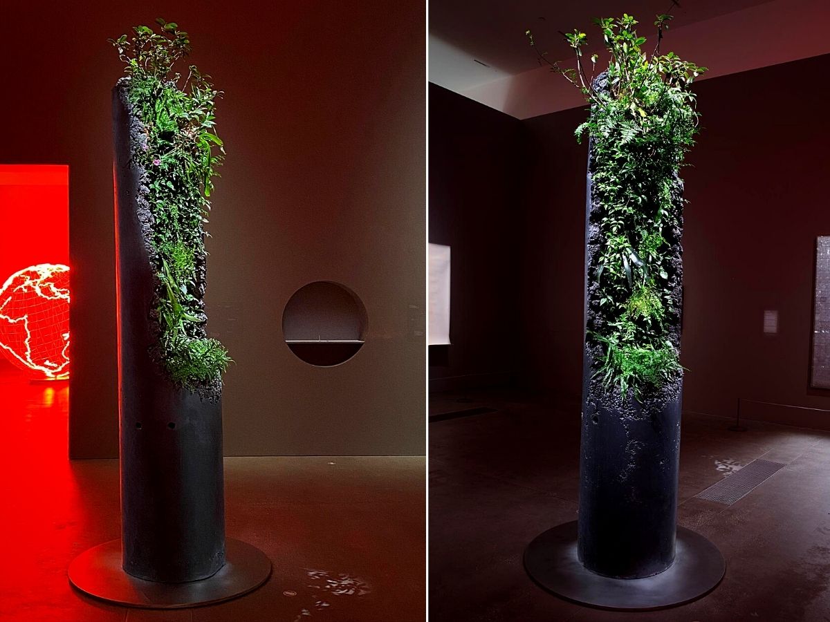​Jamie North's Living Sculptures Infused with Native Plants