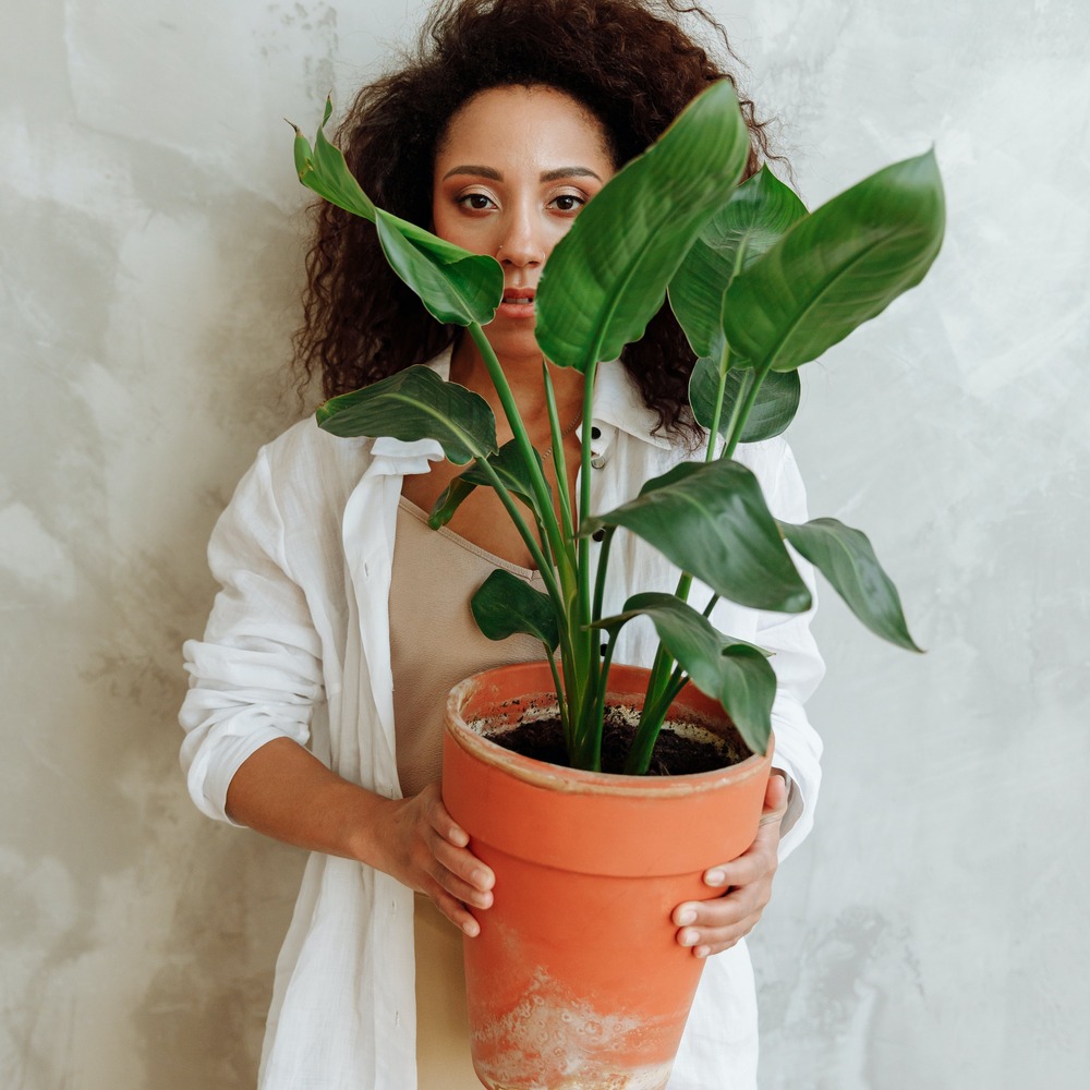 Types of plants women holding plant for home
