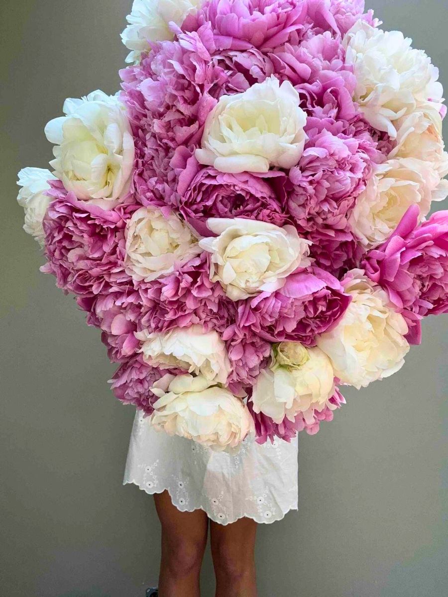 Pink and white peonies by My Peony Society