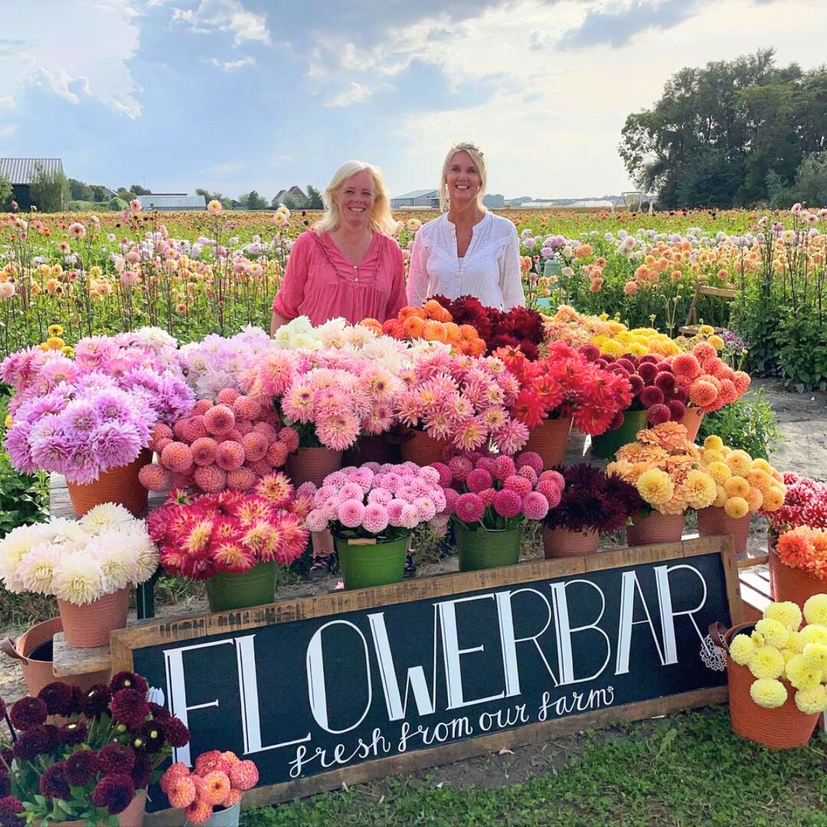 Marlies and Linda from FAM Flower Farm