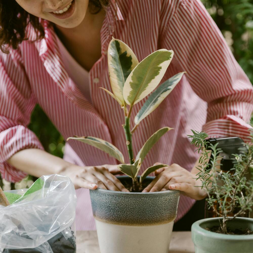 Health benefit of gardening Planting activity by lady