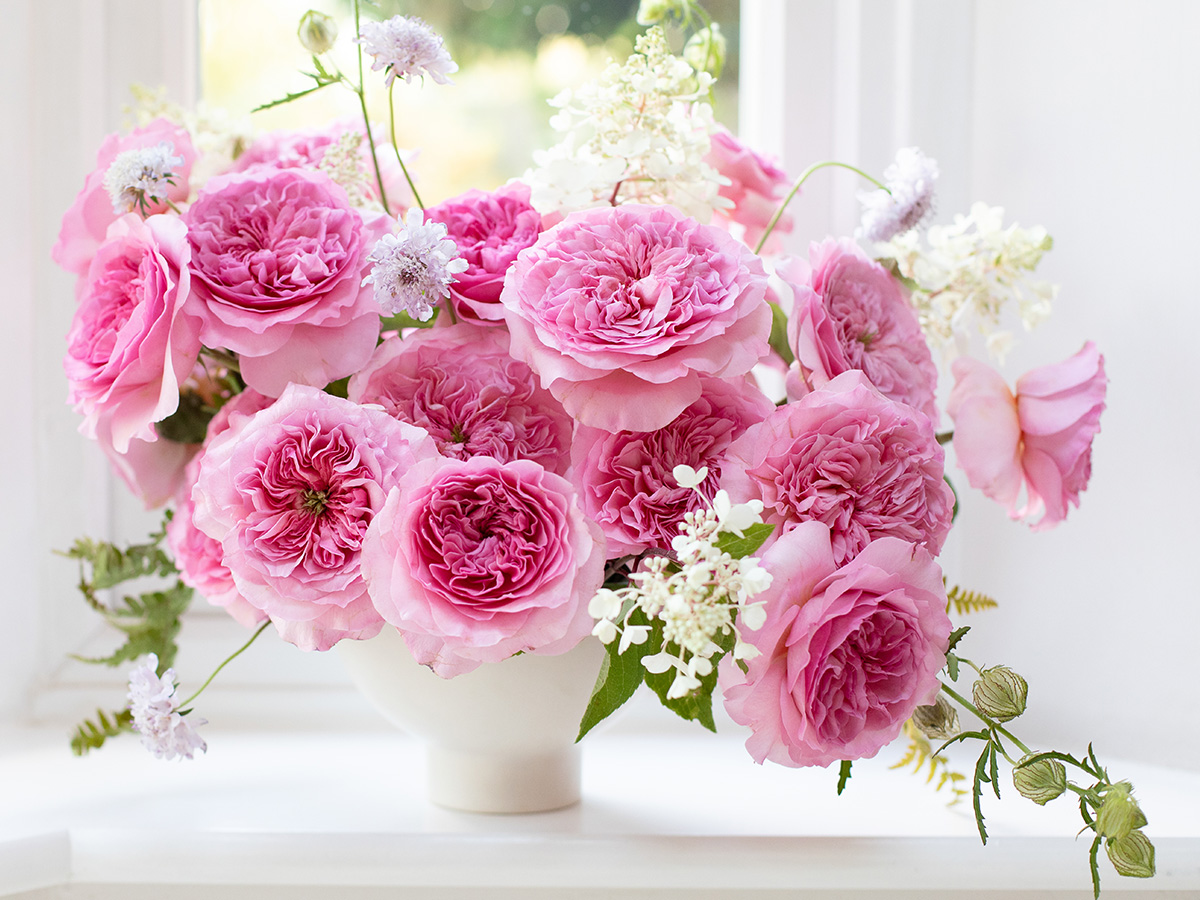 Rose Millicent bouquet in vase Rose Millicent bouquet in vase