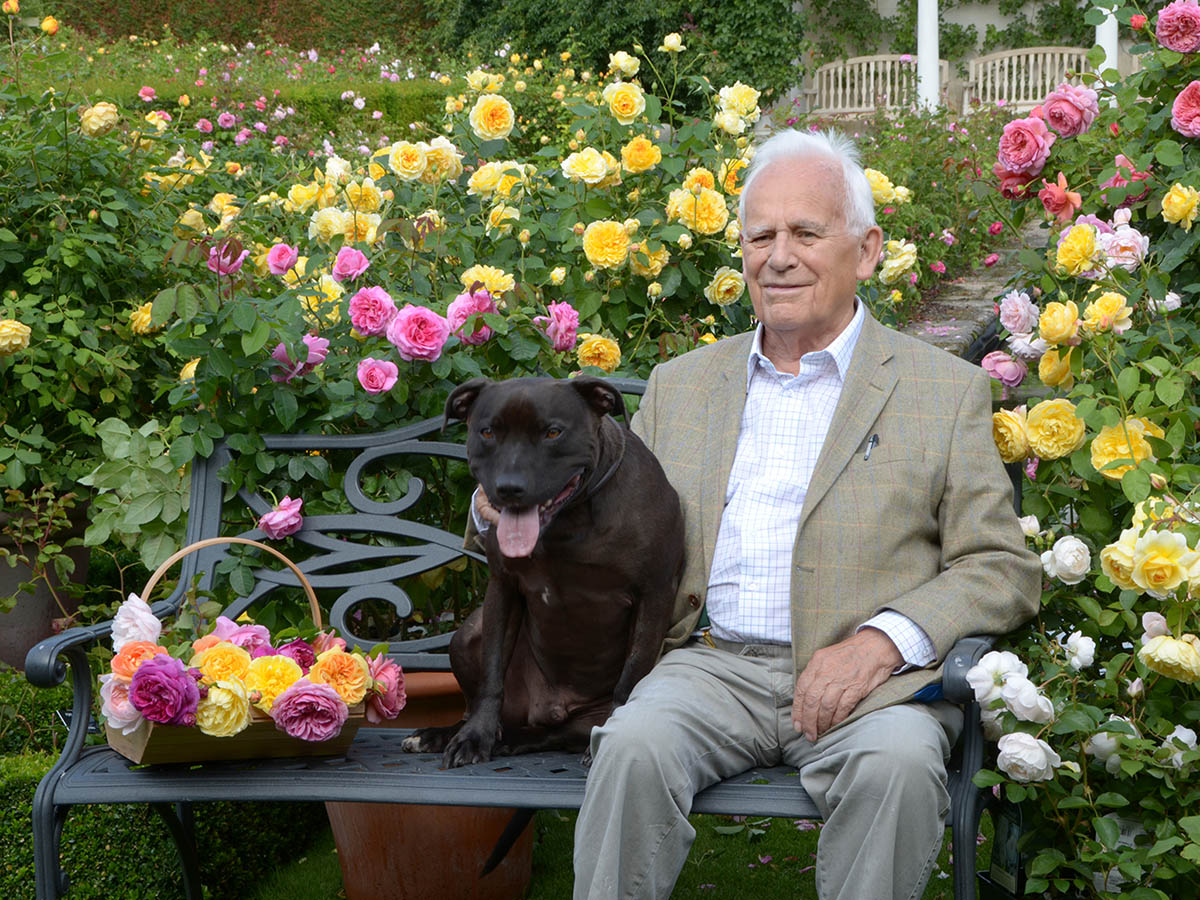 David Austin Sr on a bench with Bertie David Austin Sr on a bench with Bertie