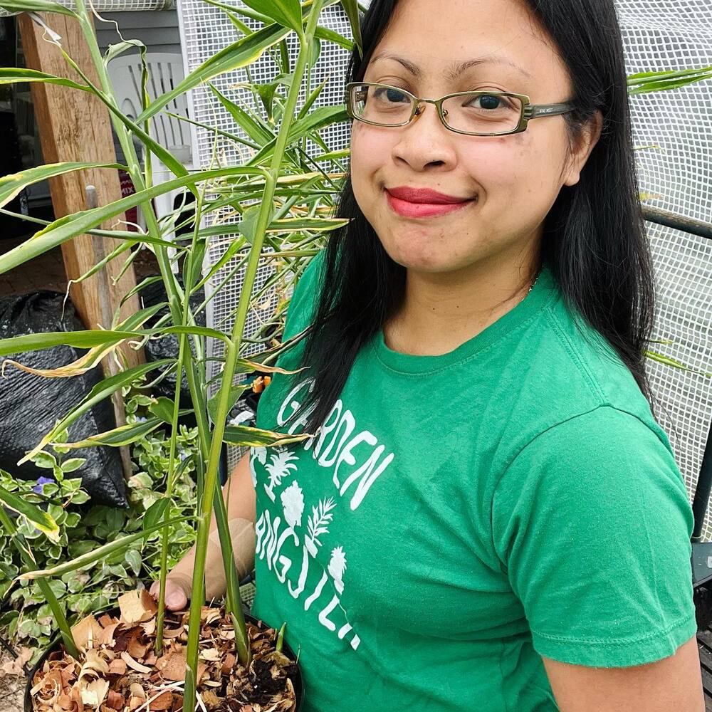 Medicinal pant lady holding Ginger plant