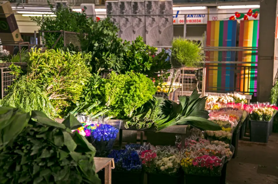 Giulia Giontella - Blog on Thursd. - Flower Market in Rome Giulia Giontella - Blog on Thursd. - Flower Market in Rome