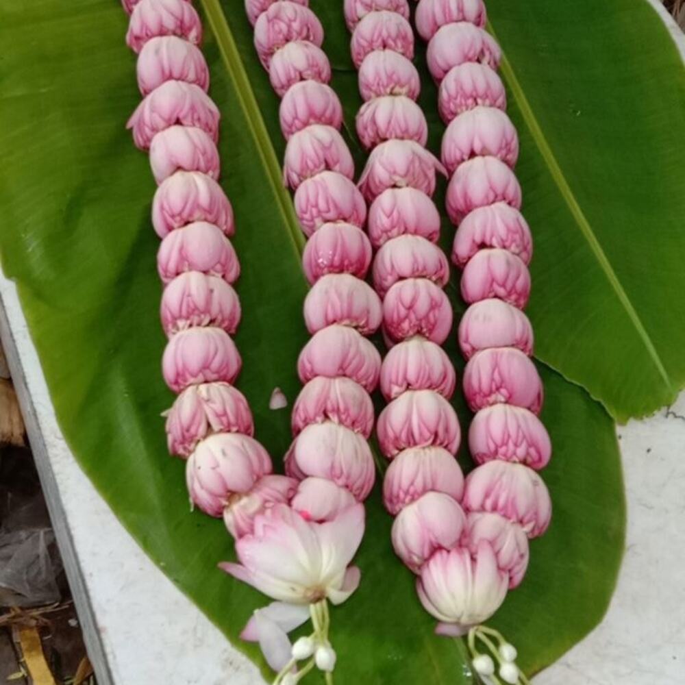 typical lotus varmalas that are used in East Indian wedding traditions typical lotus varmalas