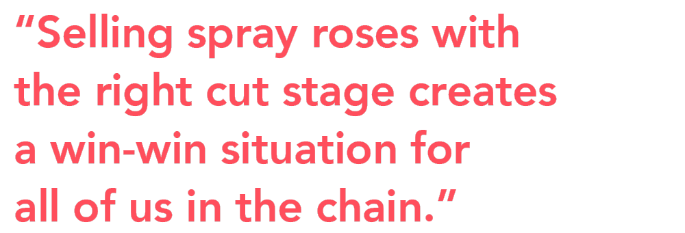 Interplant quote selling spray roses on Thursd Interplant quote selling spray roses on Thursd