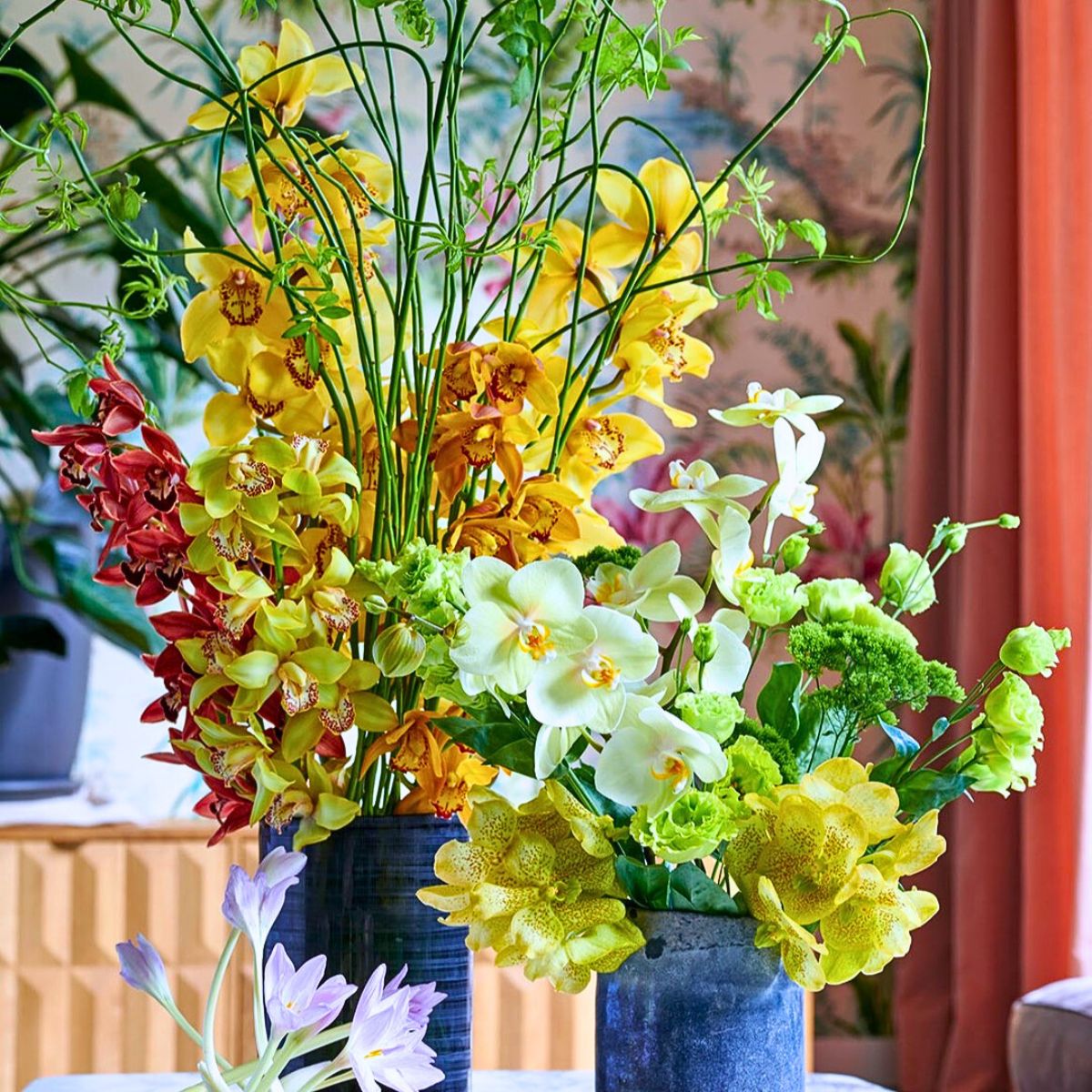 Cymbidiums coming a variety of forms and colors Cymbidiums coming a variety of forms and colors