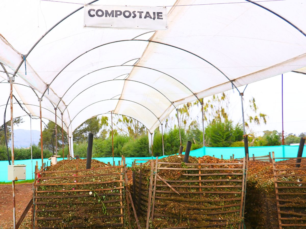 Compost area at Alexandra Farms Compost area at Alexandra Farms