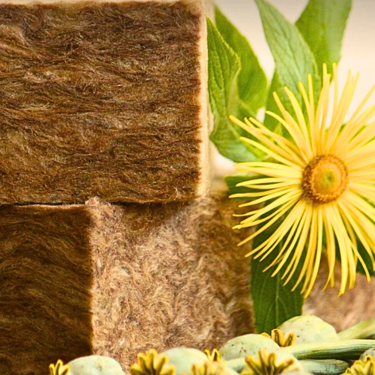 Sideau® Blocks Sideau® Block From Agra Wool Presents a Sustainable and Eco-Friendly Alternative for Floristry