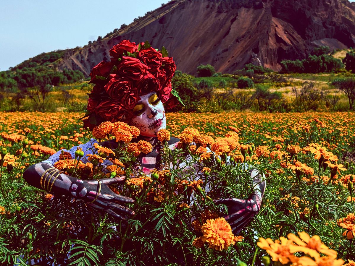 Day of the Dead Flowers of the Dead in Mexico's Marigold Fields of Puebla Celebrate the Day of the Dead